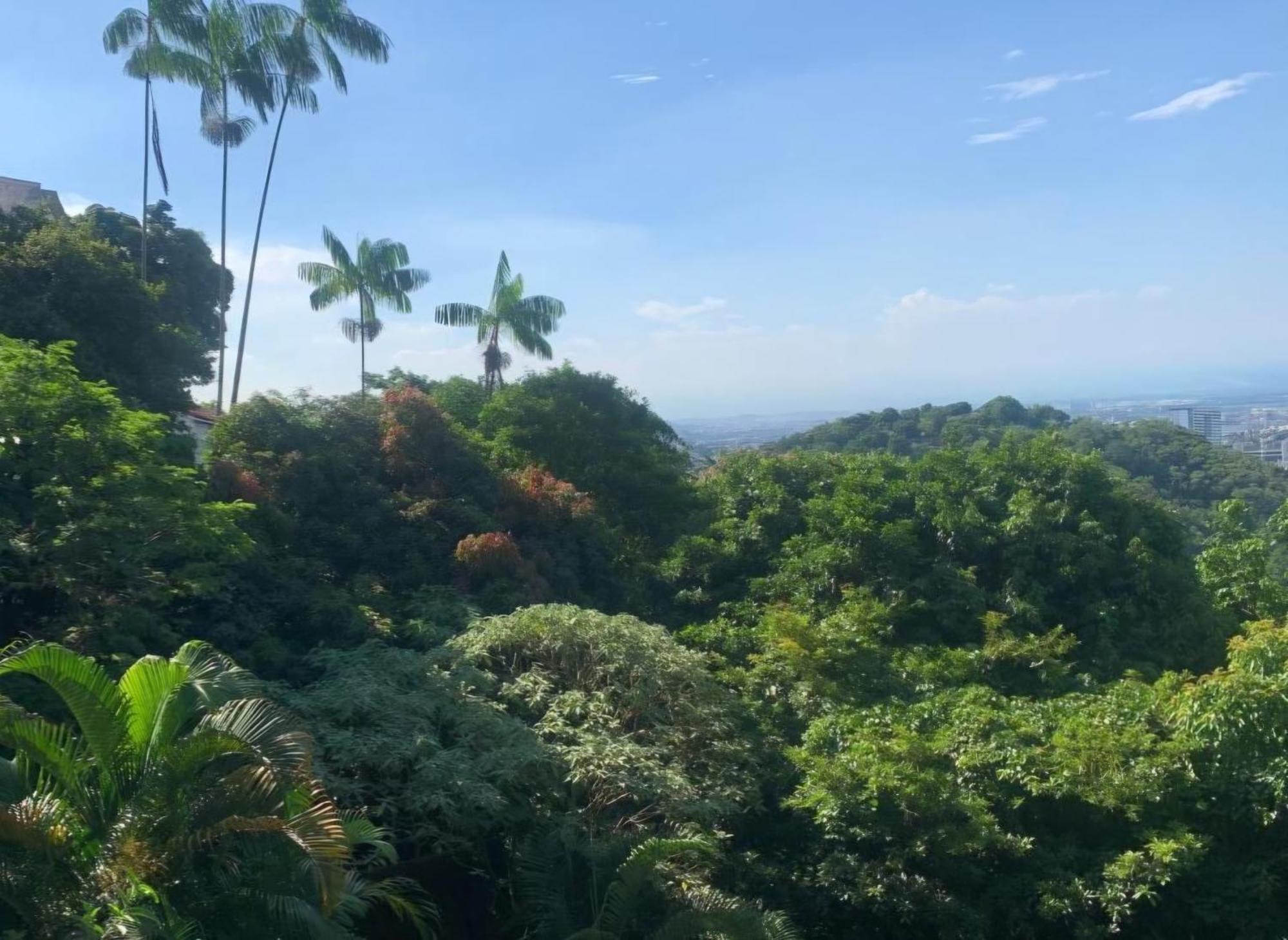 Santa Teresa Junto A Natureza, Rio de Janeiro